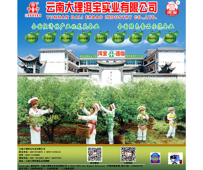 云南網(wǎng)站建設、昆明網(wǎng)站建設、云南網(wǎng)站制作、昆明網(wǎng)站制作、云南微網(wǎng)站制作、云南網(wǎng)站優(yōu)化推廣、大理網(wǎng)站建設、麗江網(wǎng)站建設、大理網(wǎng)站制作、麗江網(wǎng)站制作、保山網(wǎng)站建設、德宏網(wǎng)站建設、文山網(wǎng)站建設、楚雄網(wǎng)站建設、紅河網(wǎng)站建設、云南政府網(wǎng)站建設、普洱網(wǎng)站建設